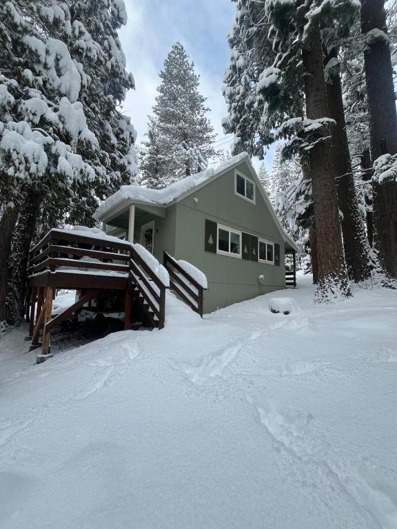 ein Gewächshaus im Schnee mit Bäumen in der Unterkunft Cabin #6 in Strawberry