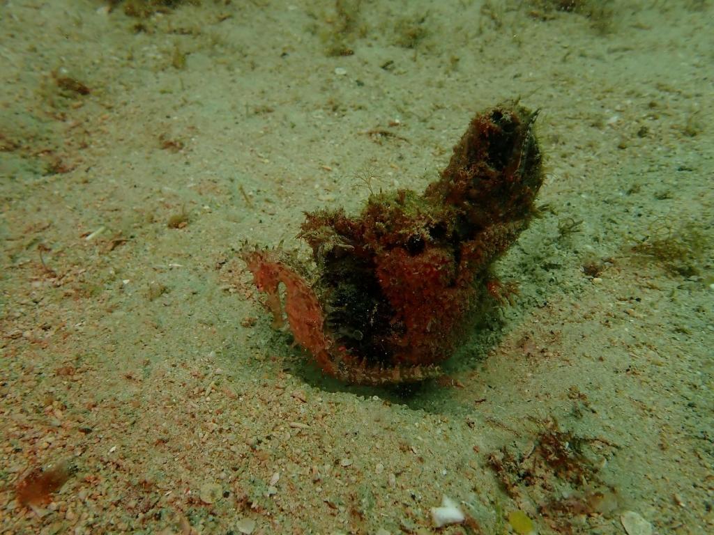 Φωτογραφία από το άλμπουμ του David σε T'ung-ko