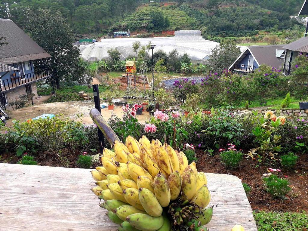 Fotografie z fotogalerie ubytování Nhà Của Thùy v destinaci Ấp Lat
