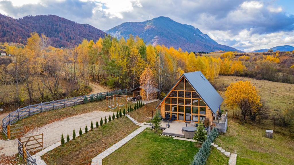 an aerial view of a house in the mountains at Cabana Timbernest in Bran
