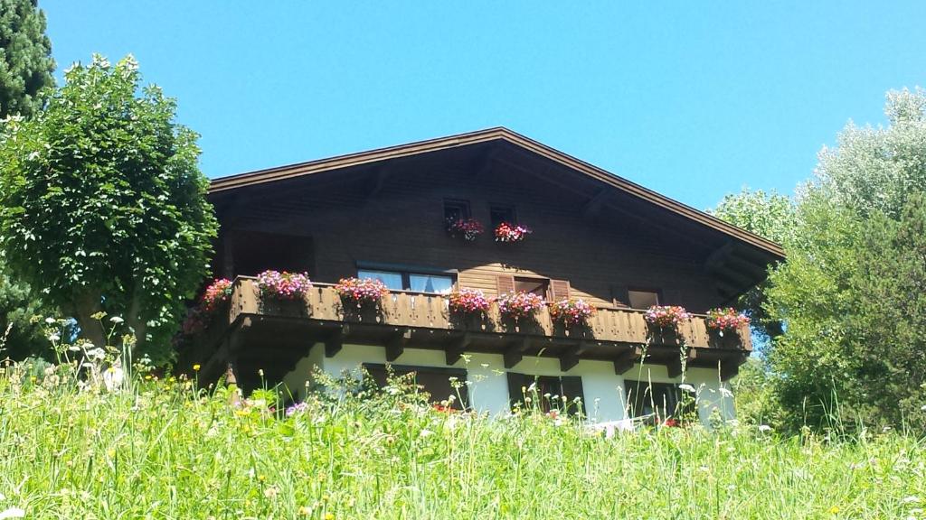 Zahrada ubytování Casa Monteggia