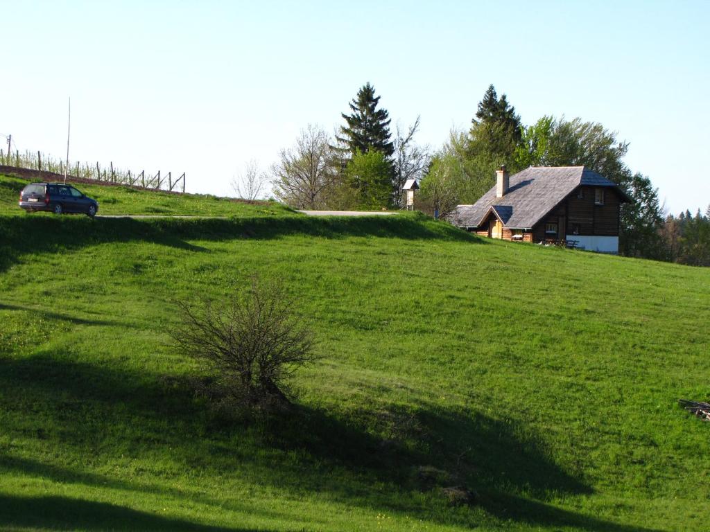 een huis bovenop een groene heuvel met een auto bij Guesthouse Nemanja in Šljivovica