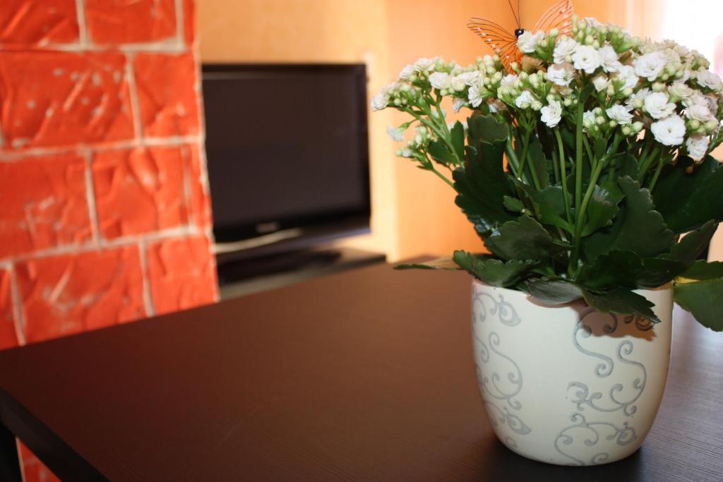 TV a/nebo společenská místnost v ubytování Privatzimmer San