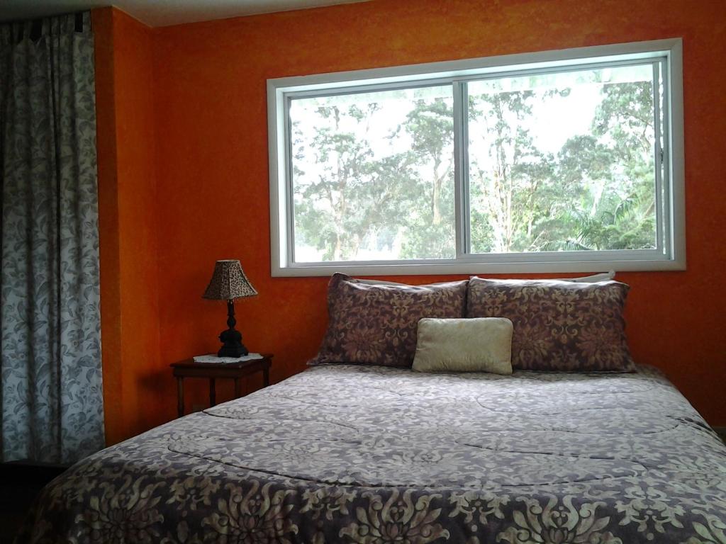 Postel nebo postele na pokoji v ubytování Lava Tree Tropic Inn