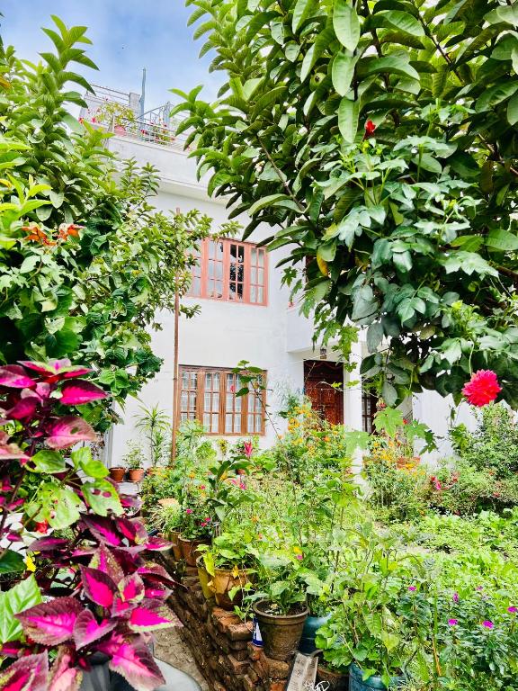 a garden filled with lots of plants and flowers at Himalayan Tranquil Stay in Burhānilkantha