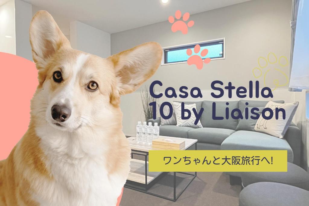 a dog sitting in a room with a couch at Casa Stella 10 by Liaison in Osaka