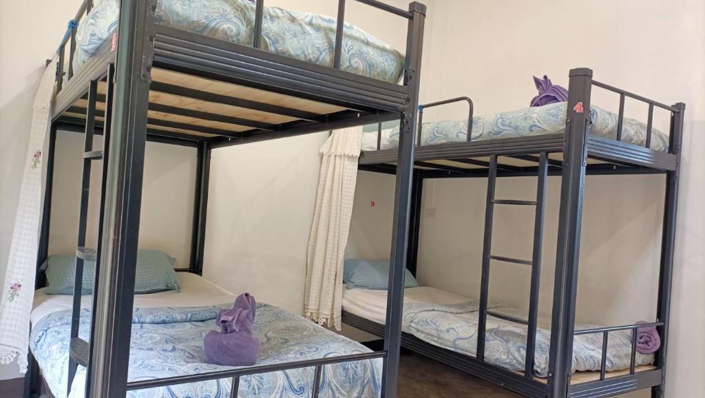 Giường trong phòng chung tại LUCKY PAI Resort&Hostel