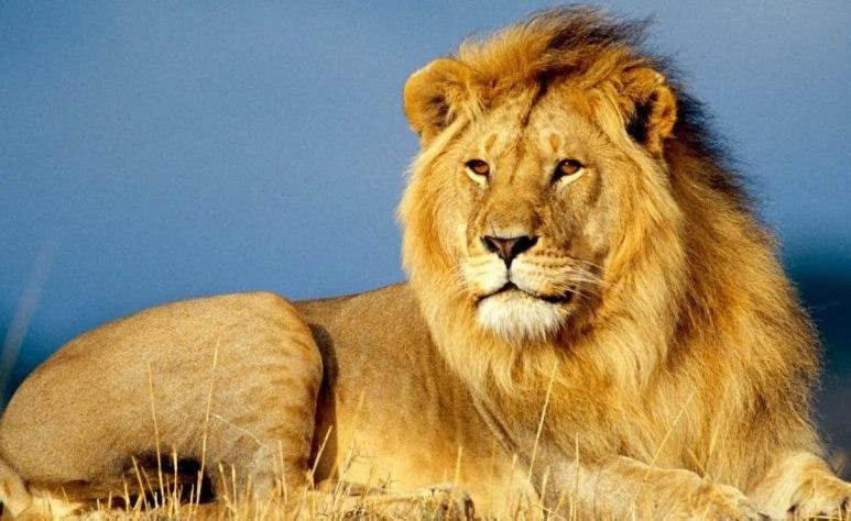 Fotografie z fotogalerie ubytování Louvre Luxury Collection Hotel v destinaci Sevan