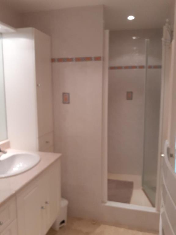 une salle de bain blanche avec une douche et un lavabo dans l'établissement La Calmille Maison avec Jardin, à Les Salelles