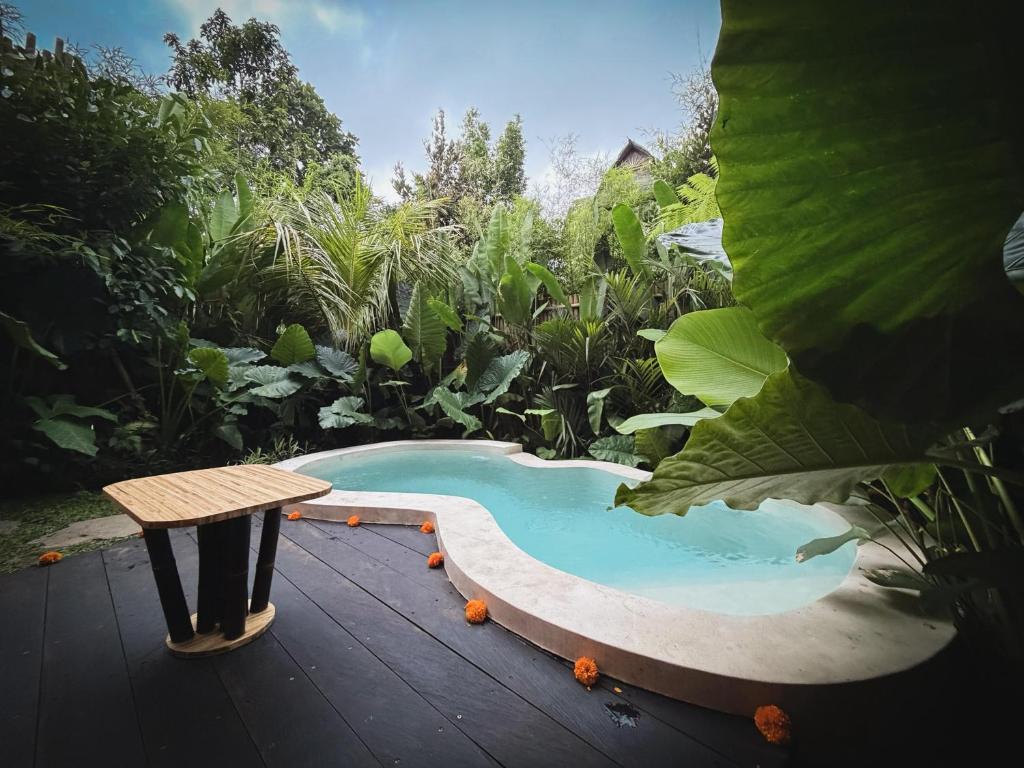 Πισίνα στο ή κοντά στο Dumi Bamboo Ecolodge by Wahem Hospitality