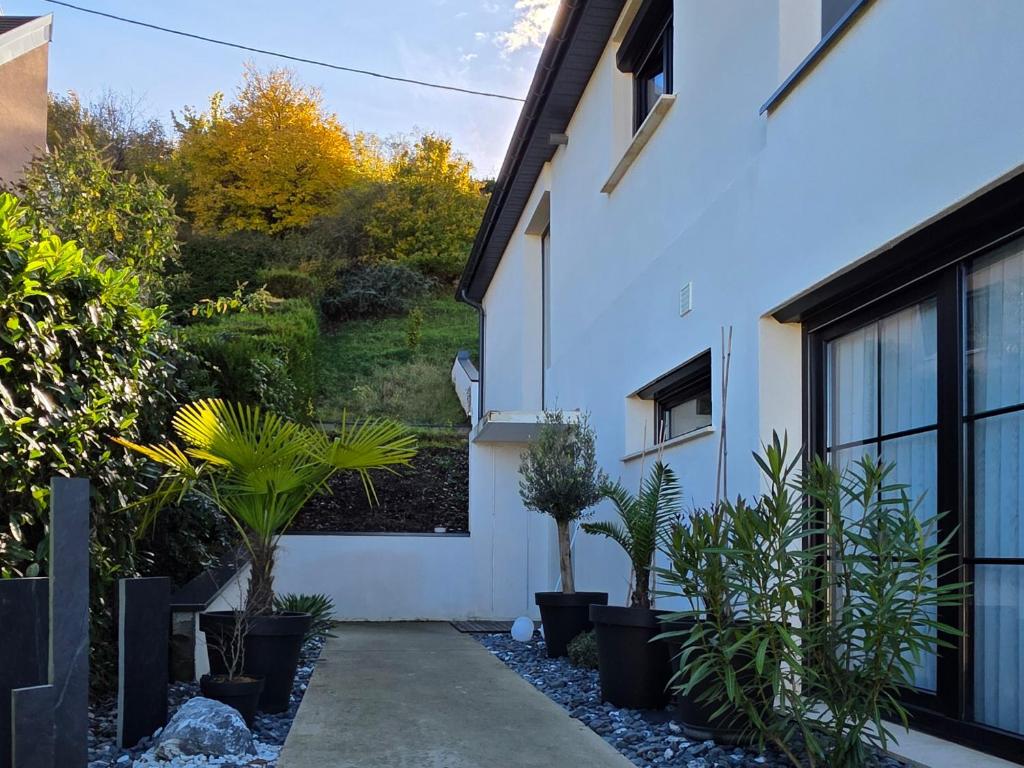 Modern Comfort for 5 Guests 2 Bedrooms Home near Colmar – photo 16