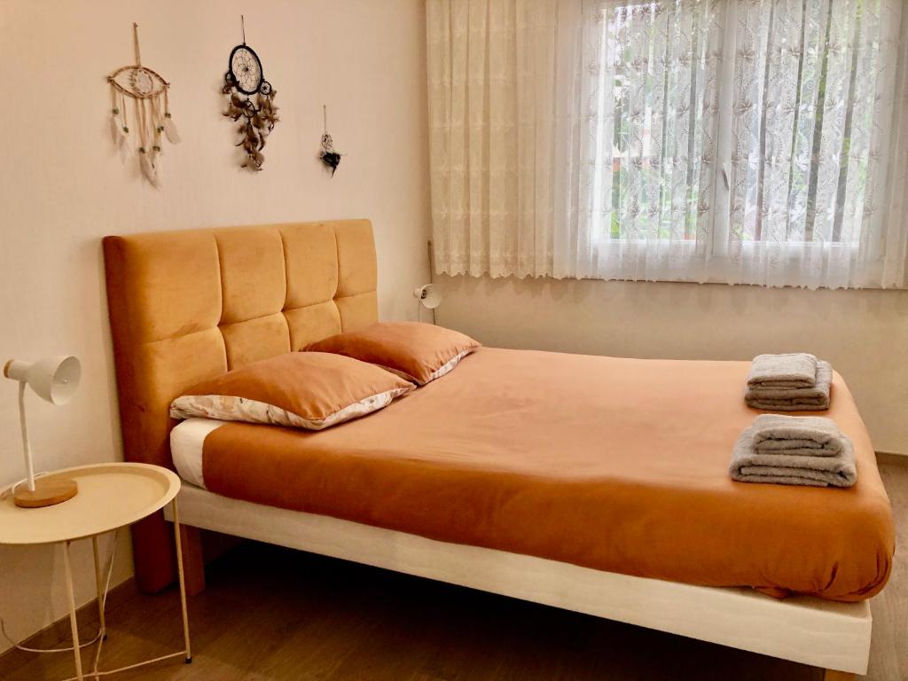 Zenova – photo 14