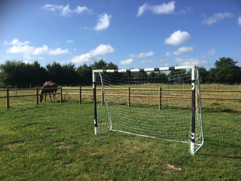 a soccer goal in a field with a horse in the background at Fleur House in Teloché
