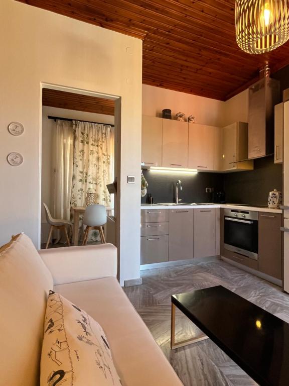 a kitchen and living room with a couch and a table at Martsalo in Lefkada Town