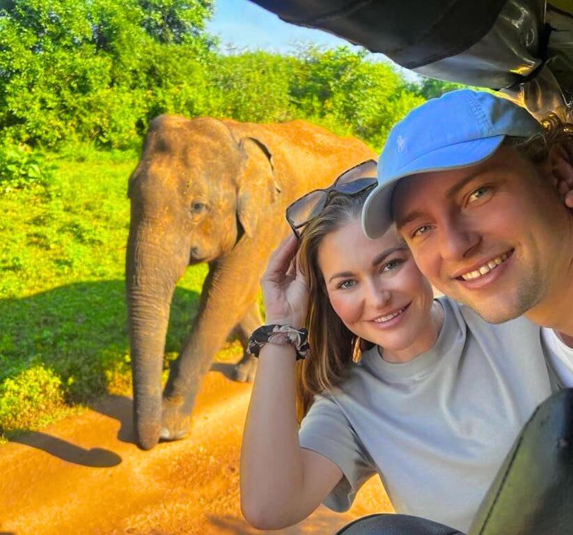 Zvířata v apartmánu nebo okolí