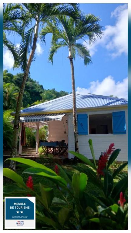 a house with two palm trees in front of it at La Kaz Kako in Sainte-Rose