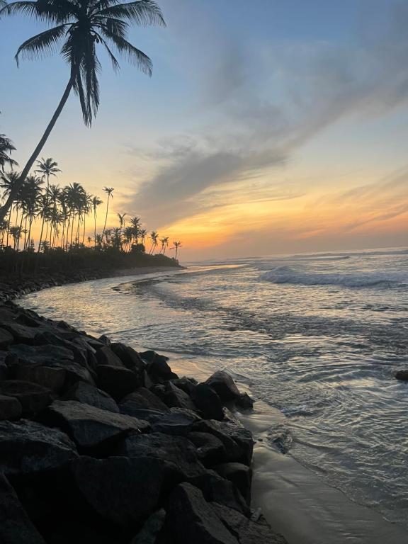 una playa con una palmera y el océano en Stay Salty, en Matara