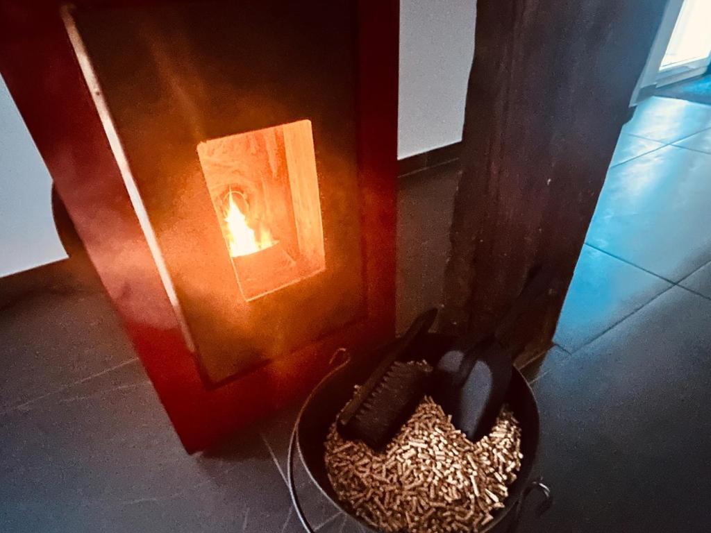 Au Bord du Logelbach – photo 14