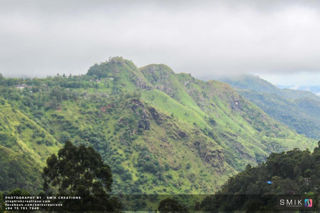 New Ella Nature View - 19