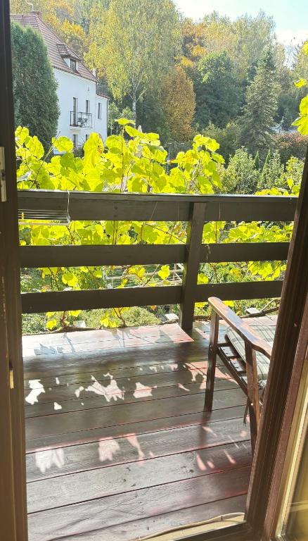 Dom Pod Kasztanami - 19