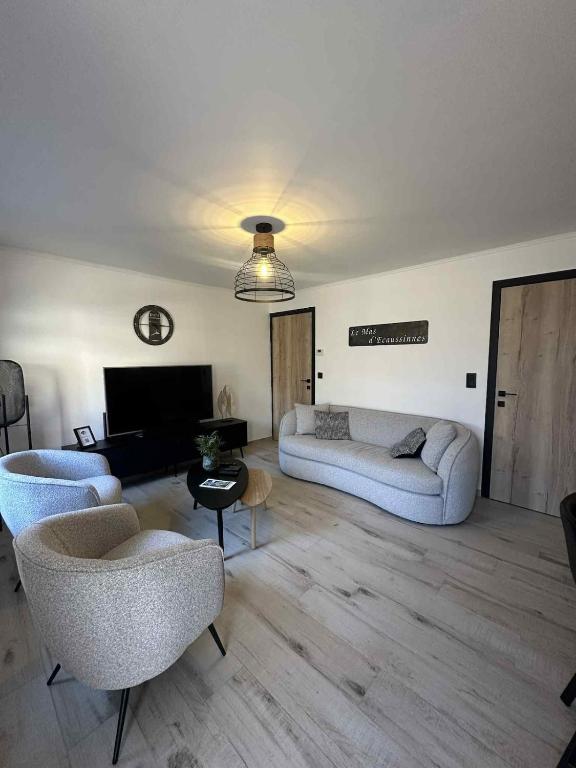 a living room with two couches and a tv at Le Mas d 'Ecaussinnes in Écaussinnes-dʼEnghien