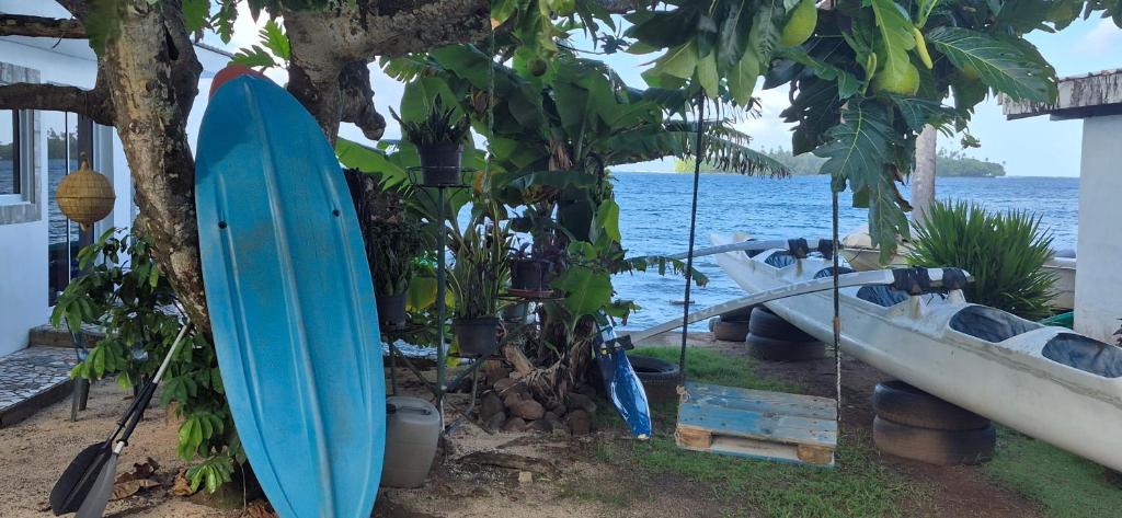 Isa Studio - photo 8 - Raiatea, Polynésie