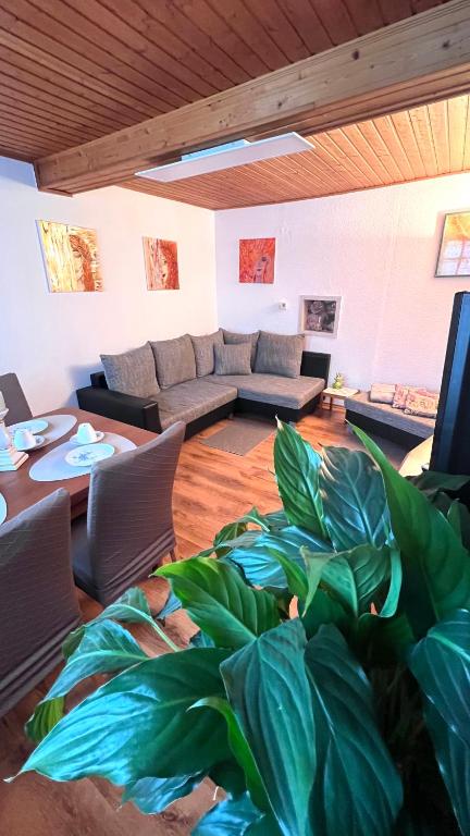 a living room with a couch and a large plant at Ferienhaus zwischen Bach und Luther mit Sauna in Eisenach