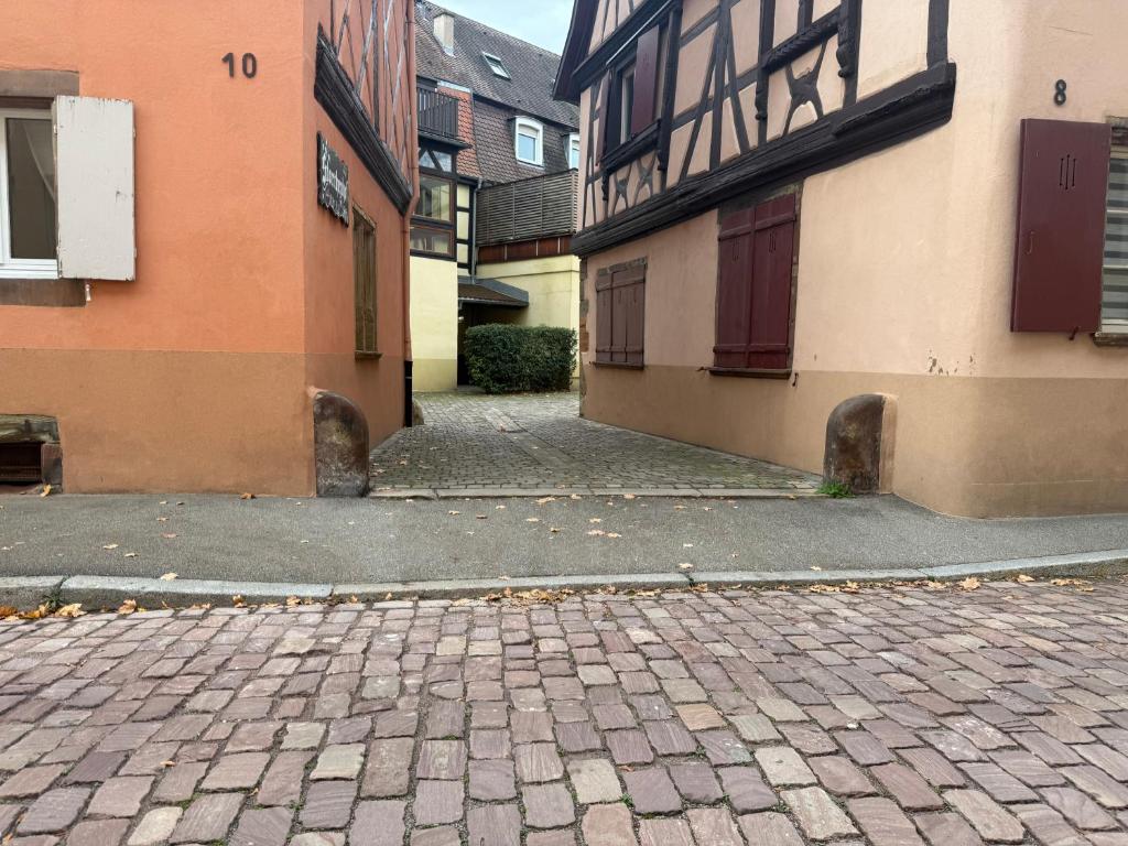 Le petit nid de cigogne – photo 12