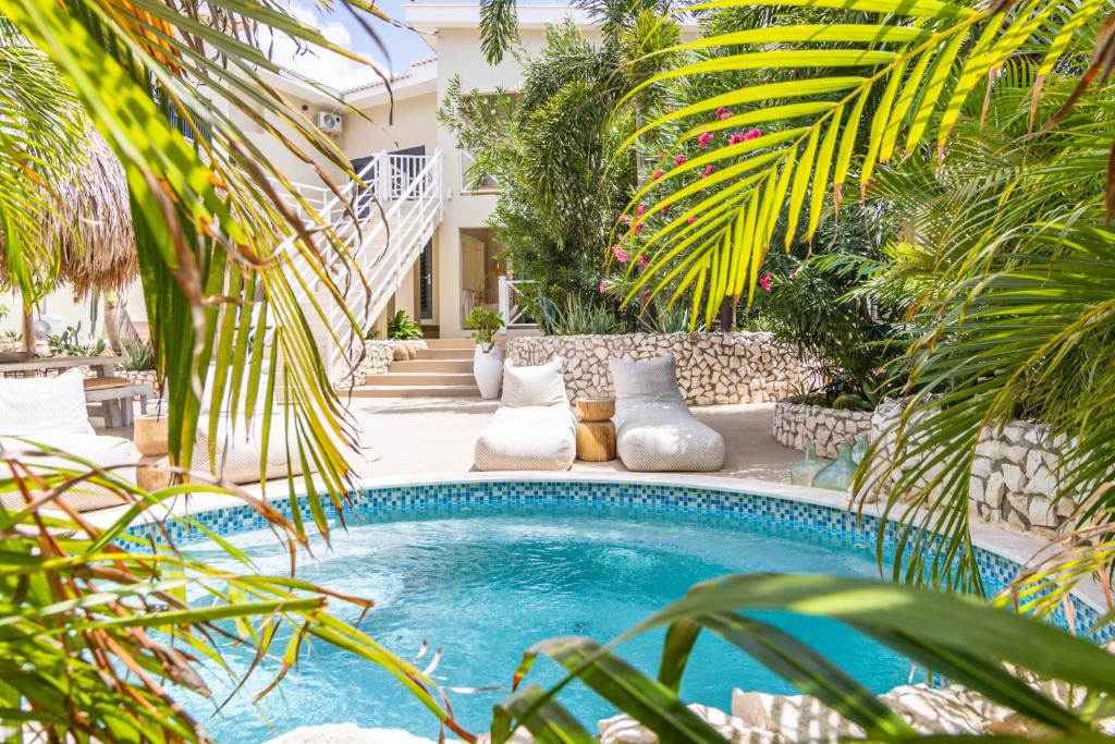 Πισίνα στο ή κοντά στο De Vos Botanica mini resort met plunge pool in Jan Thiel