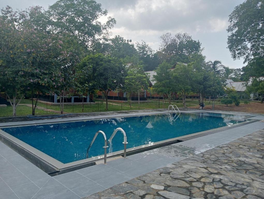 una piscina con dos grifos en un patio en Seeing Green Udawalawa, en Udawalawe
