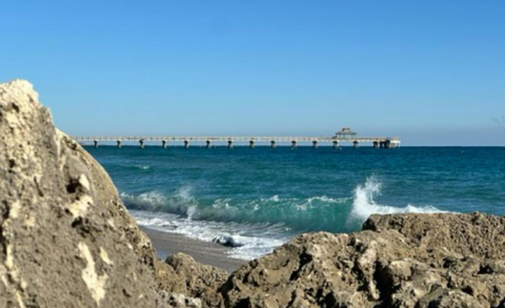 Природа в окрестностях апартаментов/квартиры