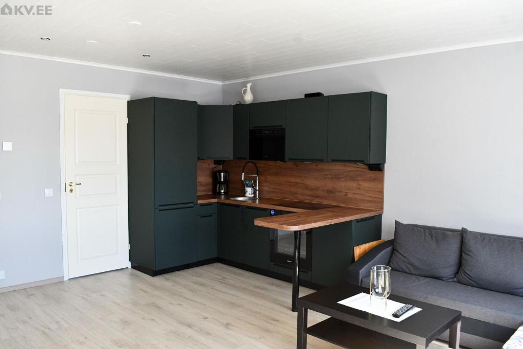 Η κουζίνα ή μικρή κουζίνα στο Laeva apartment