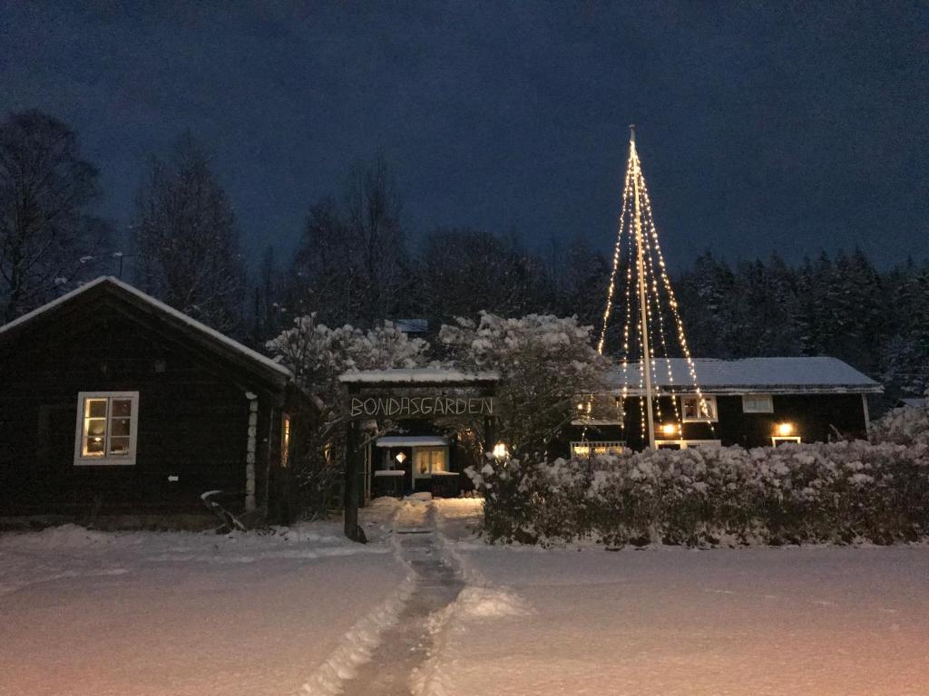 a christmas tree is lit up in the snow at Bondasgården in Lima
