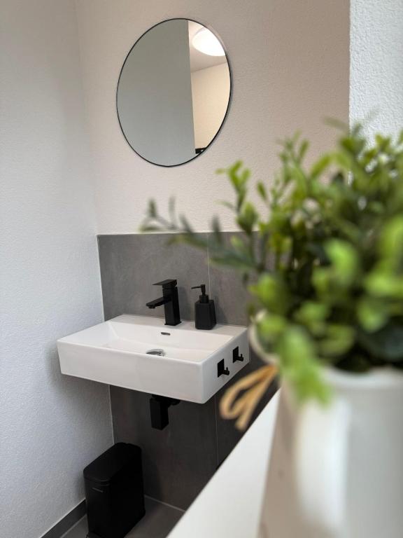 Un lavabo de baño con un espejo y una planta en maceta. en Ruhiges Apartment mit Terrasse an der Donau - Schwaben Living, en Munderkingen