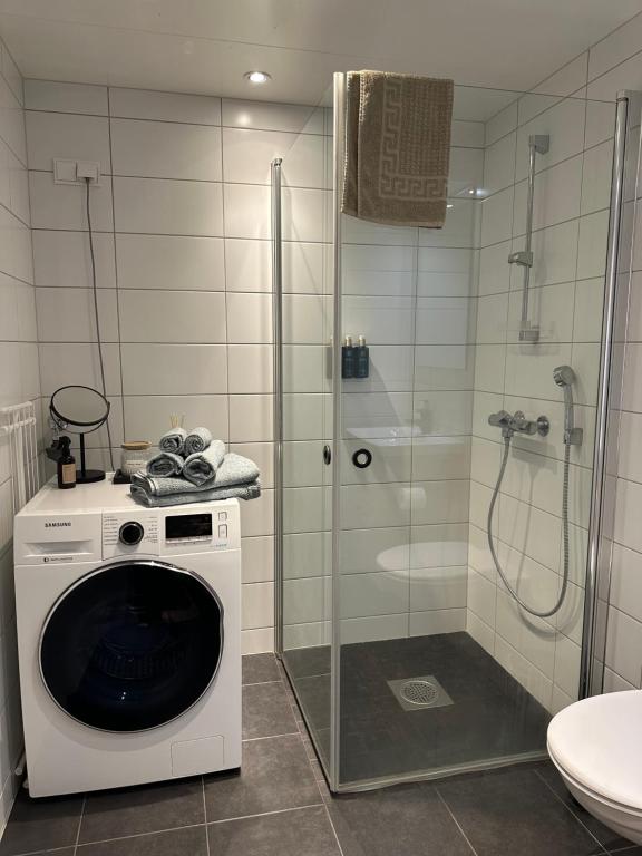 Koupelna v ubytování Delicate city apartment with mountain view