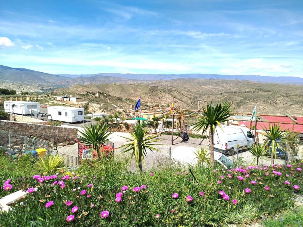 Blick auf einen Parkplatz mit rosa Blumen in der Unterkunft Camping el Palomar in Alhama de Almería
