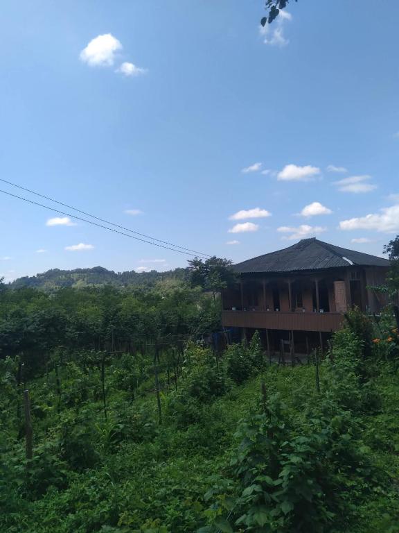 a building in the middle of a field of trees at Motena Guesthouse in Martvili