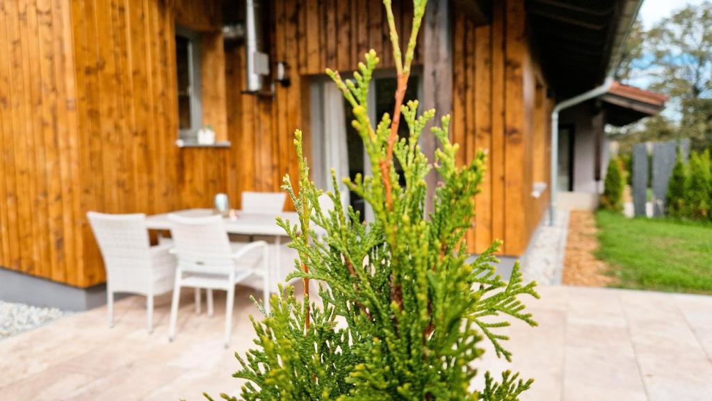 Zahrada ubytování Franz Josefs Ferienhäuser