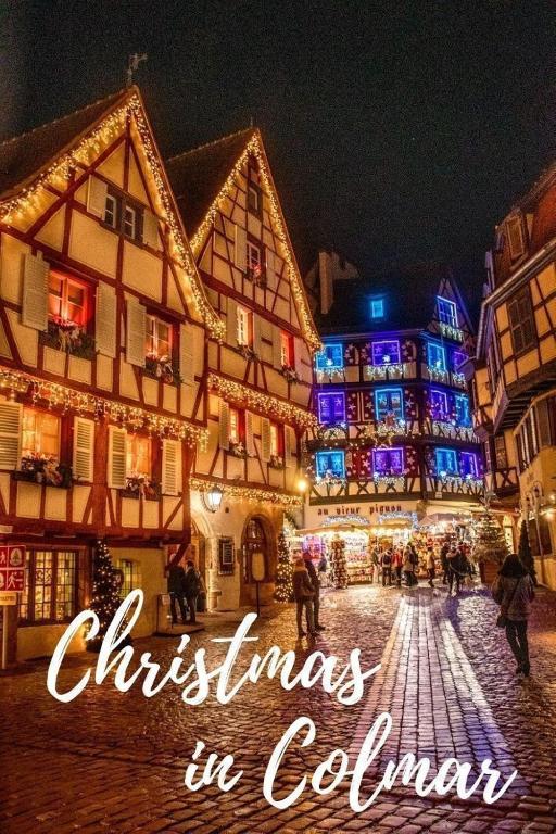 le nid des tanneurs Colmar centre – photo 14