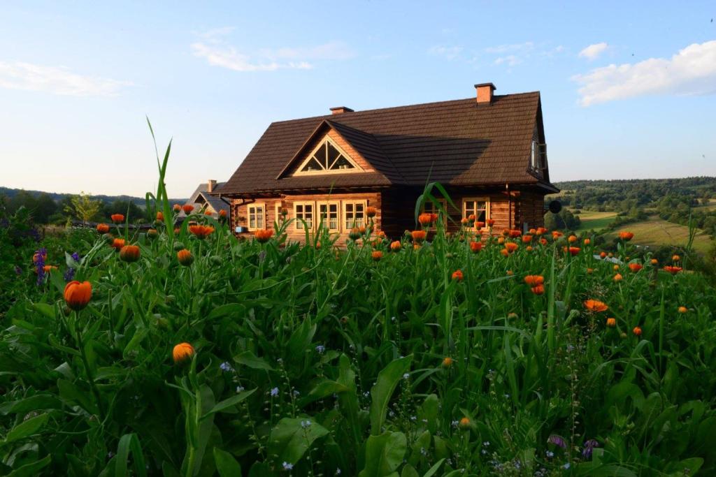 a house in the middle of a field of flowers at Dom Gościnny Szpilkowo in Nowica