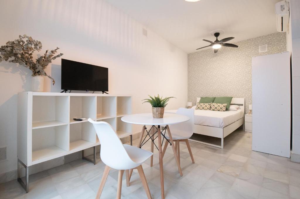 Apartamentos Alameda de Hércules
