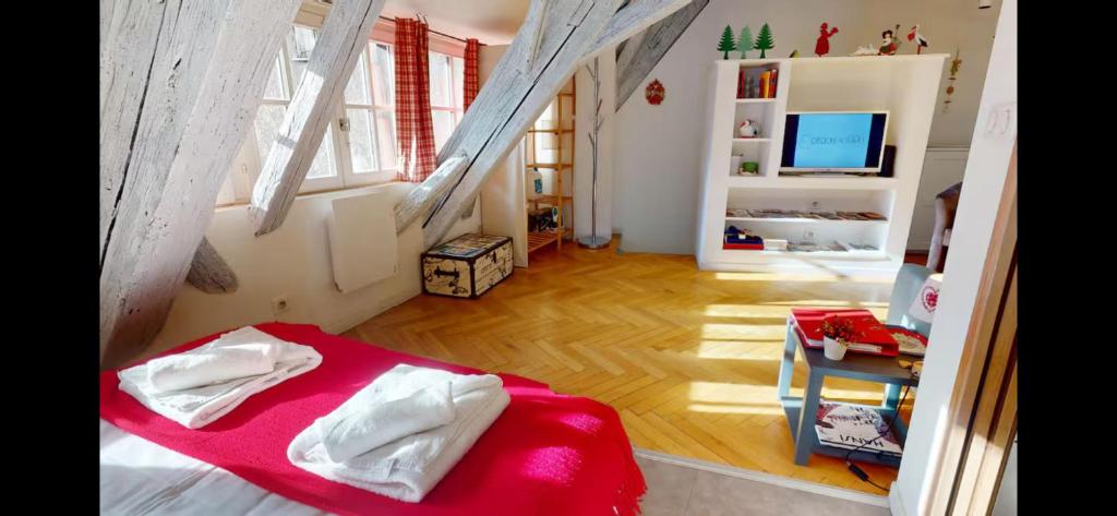 le nid des tanneurs Colmar centre – photo 28