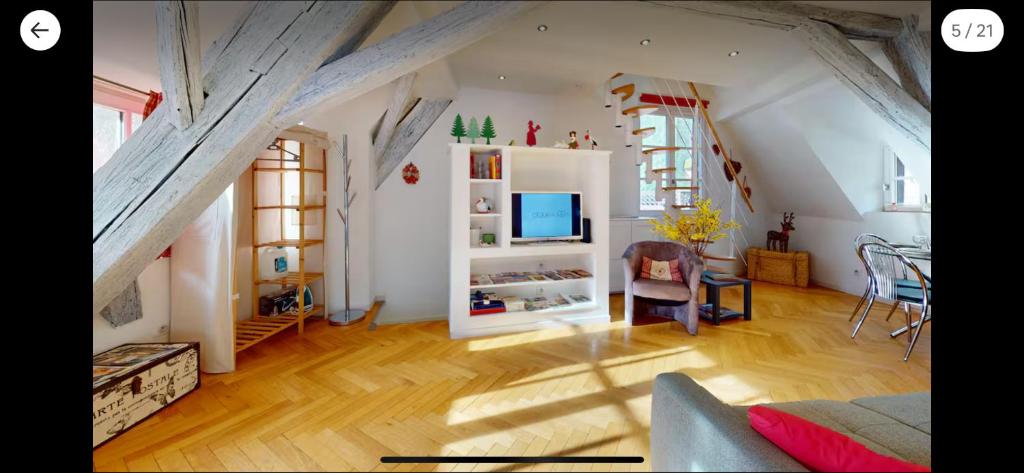 le nid des tanneurs Colmar centre – photo 27