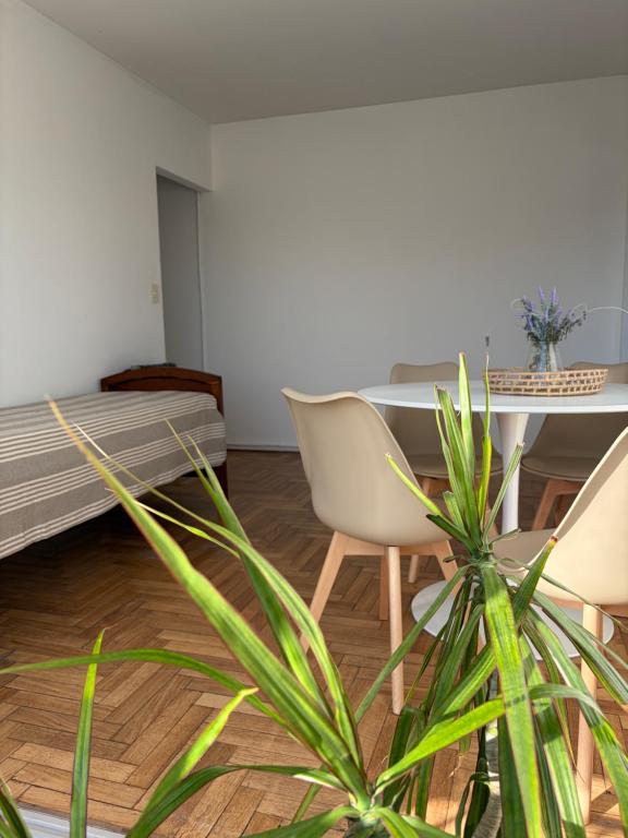 ChivilcoySuiteCentro