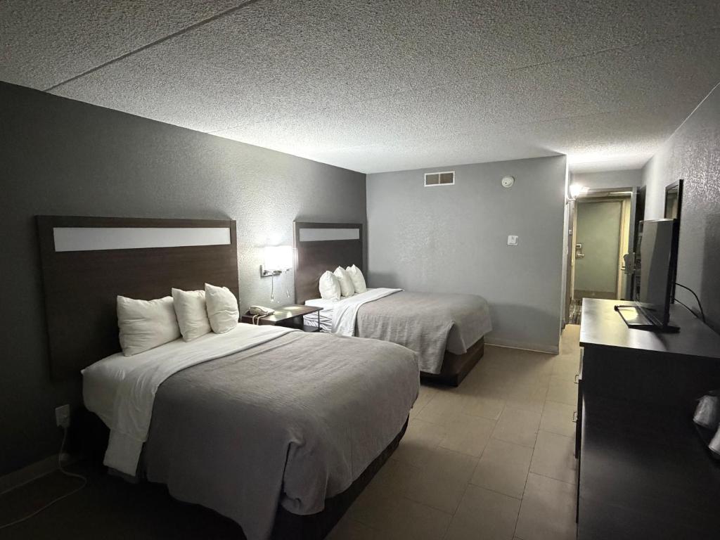 Q Lodge - Standard Double Room