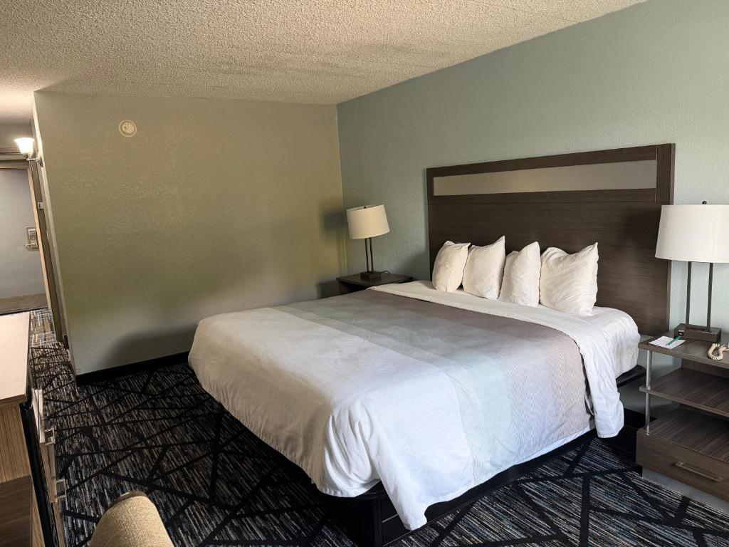 Q Lodge - Queen Room - Disability Access