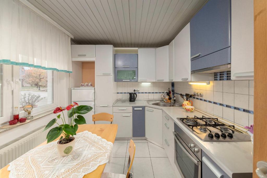 戈雷尼斯卡地区采尔克列Apartma Franko的厨房配有白色橱柜和植物桌子