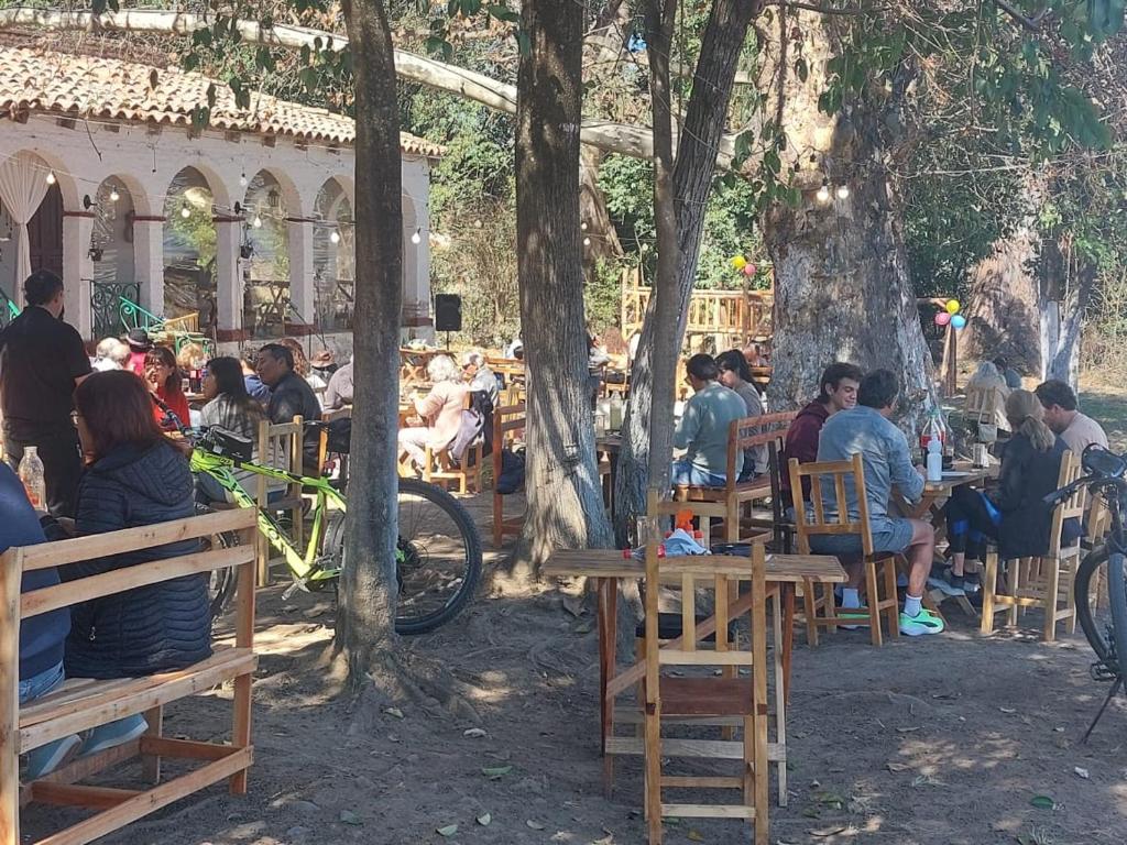 a group of people sitting at tables under trees at La querencia in Vaqueros