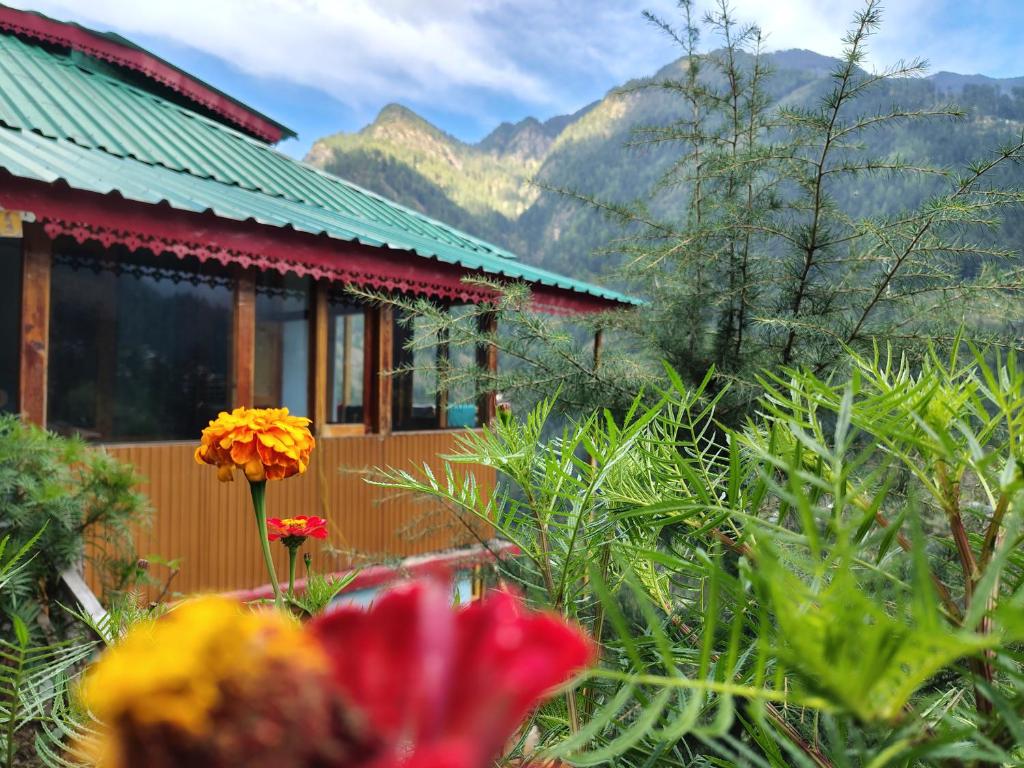 Nespecifikovaný výhled na hory nebo výhled na hory při pohledu z apartmánu