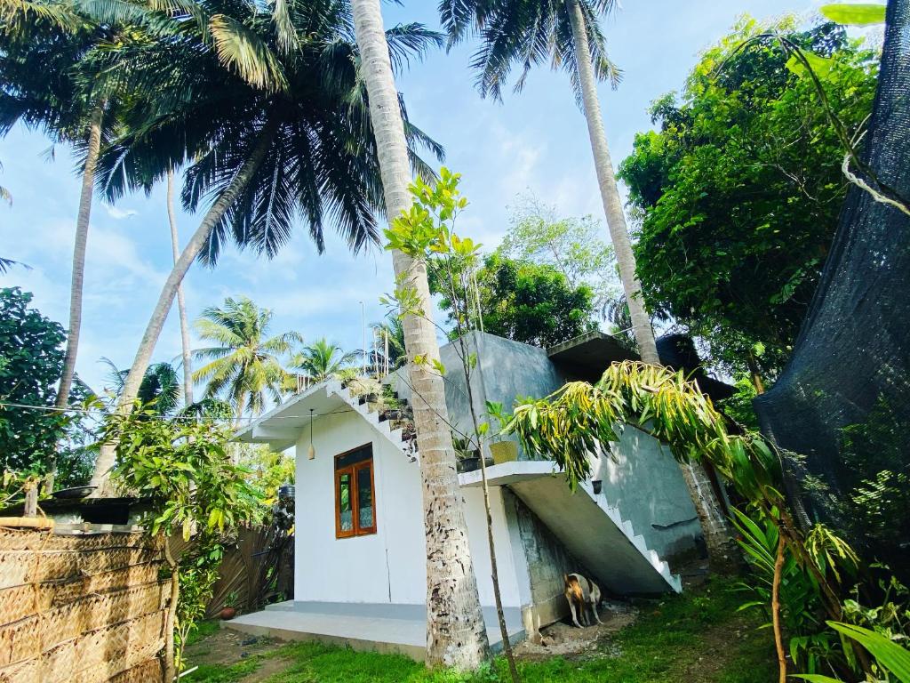 Κήπος έξω από το Bird garden Midigama